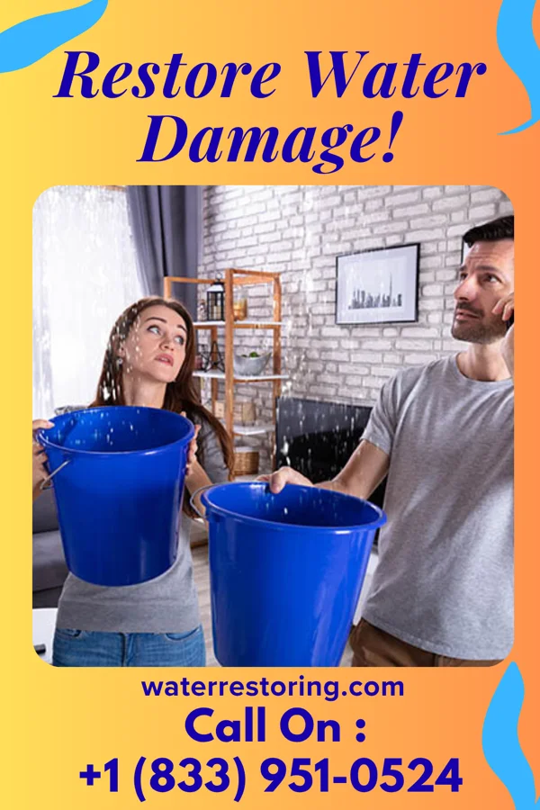 water restoration Sterling Water Repair Pros Hooverson Heights
