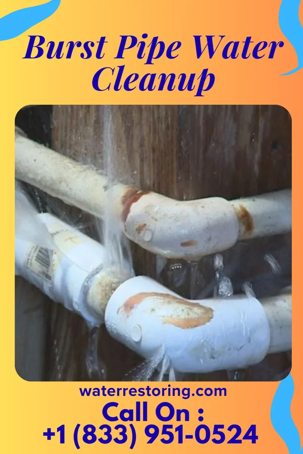 Burst Pipe Water Cleanup in Hooverson Heights, WV