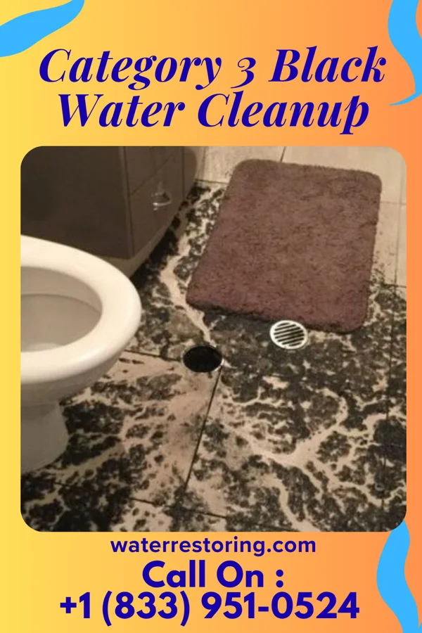 Category 3 Black Water Cleanup in Hooverson Heights, WV