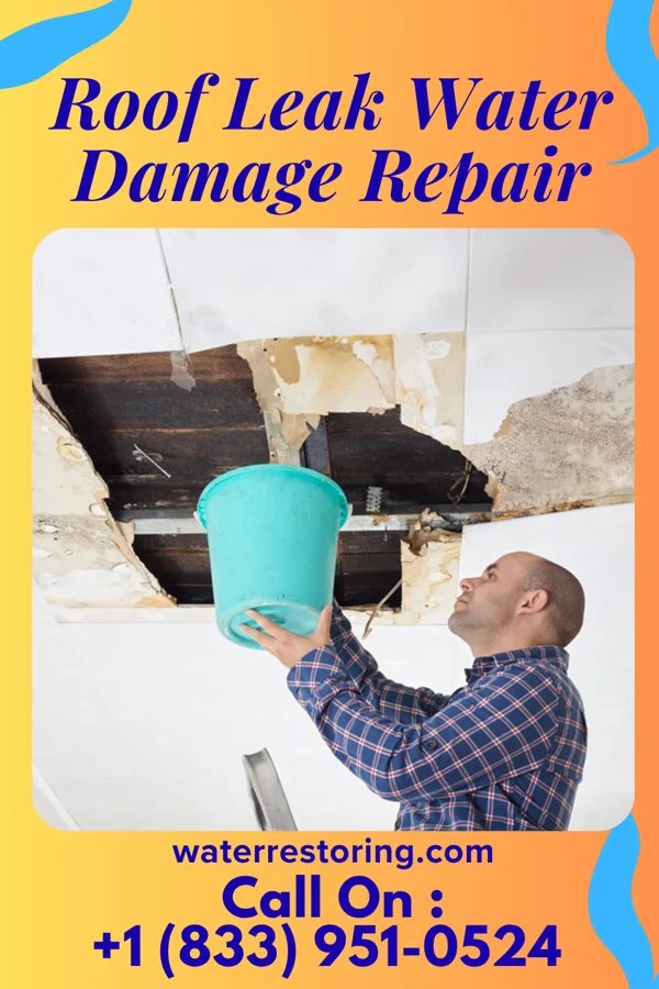 Roof Leak Water Damage Repair in Hooverson Heights, WV