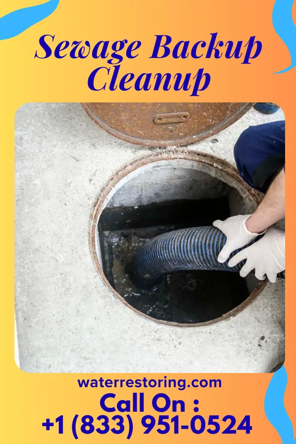 Sewage Backup Cleanup in Hooverson Heights, WV