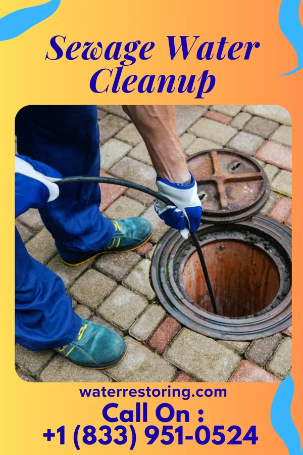 Sewage Water Cleanup in Hooverson Heights, WV